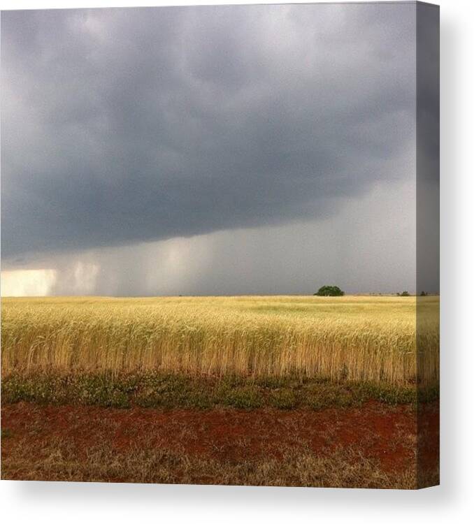  Canvas Print featuring the photograph Thunderstorm & Wheat by Marc Crow