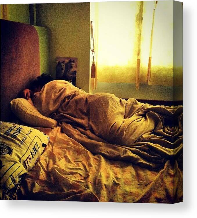 Tired Canvas Print featuring the photograph #tired #funny #sleep #worm #blanket by Bryan Thien