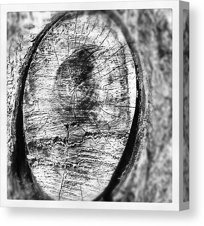 Wise Canvas Print featuring the photograph To Be As #wise As The Old Oak #tree by Tiffany Townsend