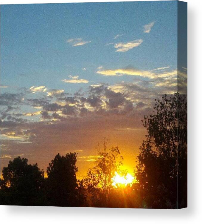 Fireinthesky Canvas Print featuring the photograph Took A Walk In The Suburban Jungle To by Silvia Mirabella 