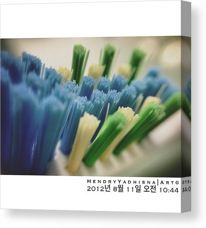 Picstitch Canvas Print featuring the photograph #toothbrush #brush #dental #한국 by Hendry Yadhisna