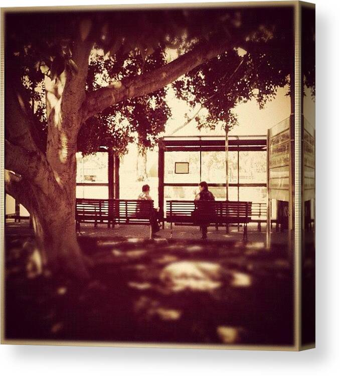 Sillouette Canvas Print featuring the photograph Tree Bus Stop #tree #bus #stop by Luke Fuda