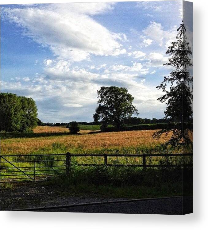 Cloud Canvas Print featuring the photograph #tree #trees #sky #skyporn #cloud by Miss Wilkinson