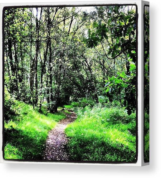 Summer Canvas Print featuring the photograph #tree #woods #forest #path#nature by Chris Edmond