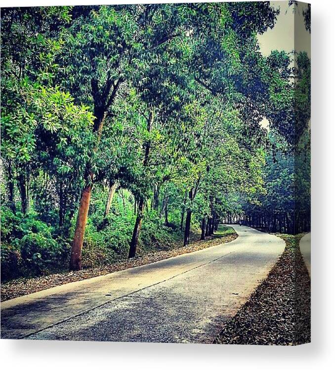 Roads Canvas Print featuring the photograph #trees #roads #where by Inas Shakira