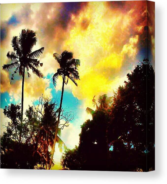 Coconut Canvas Print featuring the photograph #trees #sky #blue #coconut #bestofphoto by Iskandar Bukan Alexander