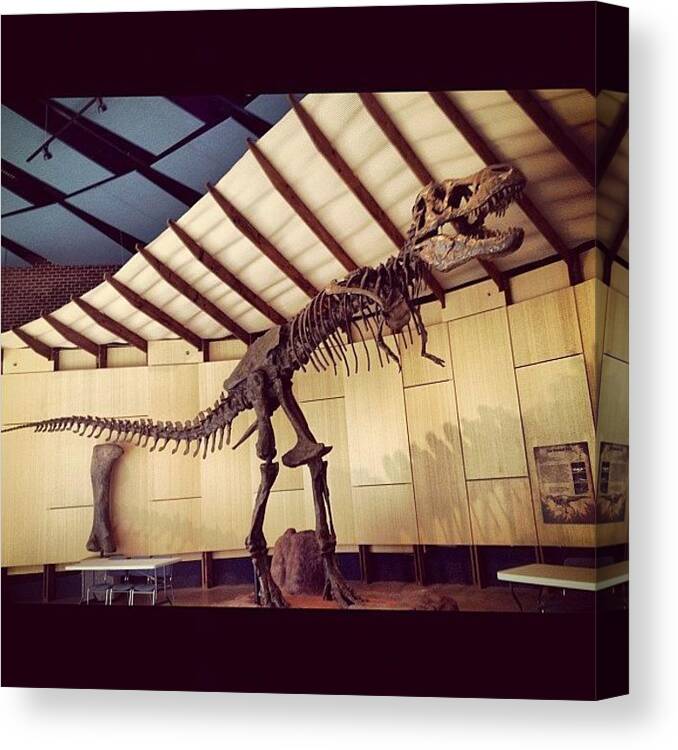 Color Canvas Print featuring the photograph #trex#bones#dinosaur#jurassic#museum by Stephanie Thomas