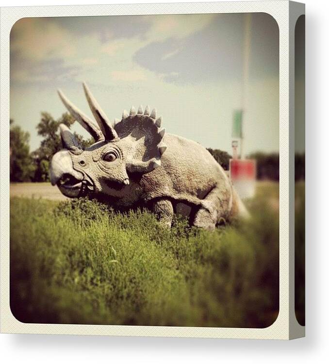Love Canvas Print featuring the photograph #triceratops #dinosaurs #instagood by Shwa Moen
