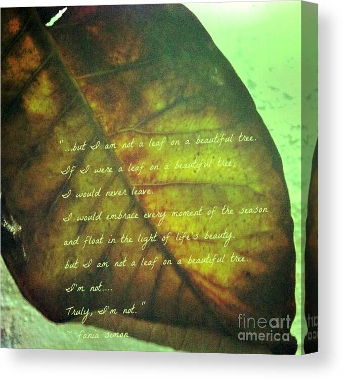 Fania Simon Canvas Print featuring the mixed media Truly I'm Not a Leaf On a Beautiful Tree by Fania Simon