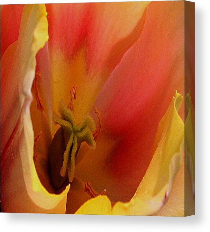 Tulip Canvas Print featuring the digital art Tulip Abstract by Karen Harrison Brown