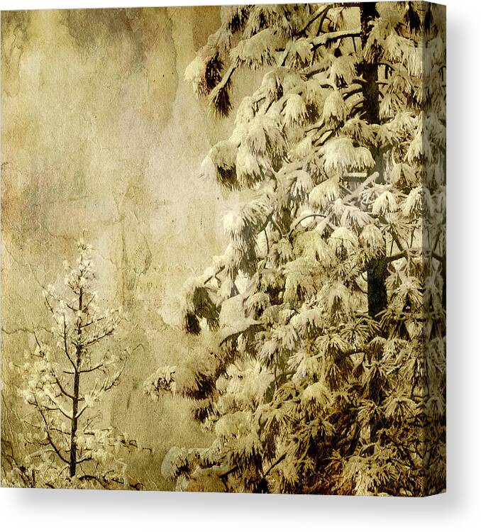 Winter Trees Canvas Print featuring the photograph Two Generations by Bonnie Bruno