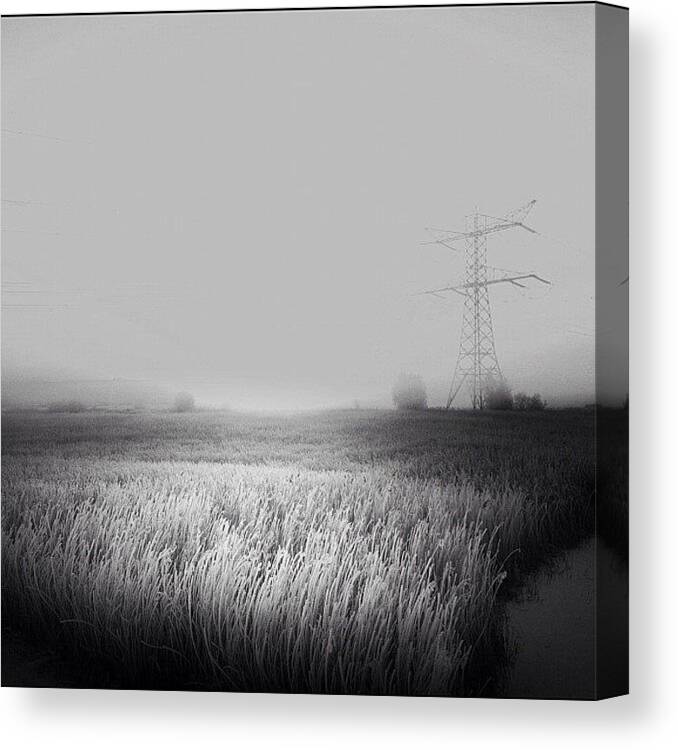 Igersams Canvas Print featuring the photograph two Years He Walks The Earth. No by Robbert Ter Weijden