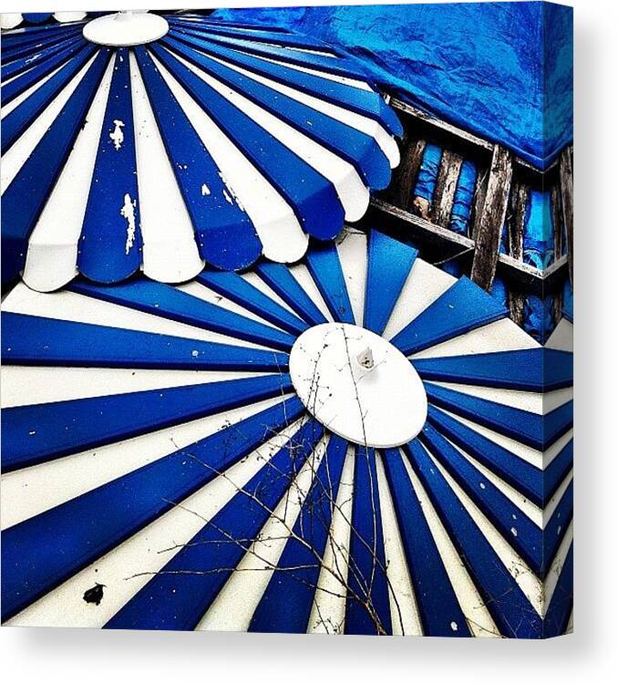 Umbrellas Canvas Print featuring the photograph Umbrellas by Julie Gebhardt