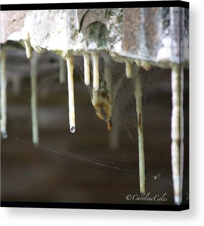 Bridge Canvas Print featuring the photograph Under The Bridge They Drip Silently by Caroline Coles