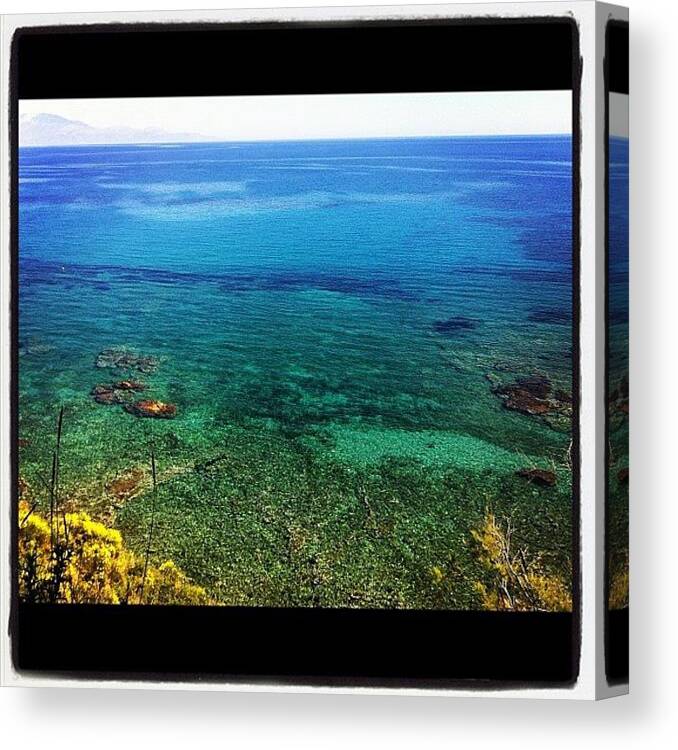 Coral Canvas Print featuring the photograph Undersea Views by Jennifer Colwell