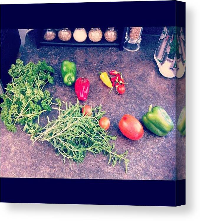 Foodgasm Canvas Print featuring the photograph #veggies From Our #garden by Marie Constant
