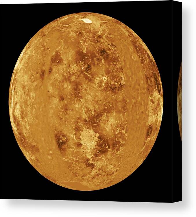 Ishtar Terra Canvas Print featuring the photograph Venus, Radar Map by Jplnasa