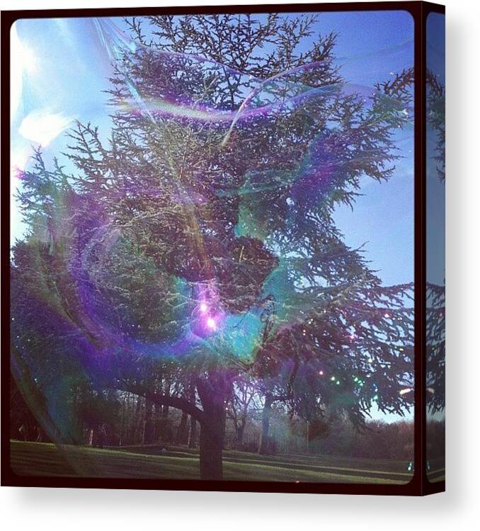 Bubble Canvas Print featuring the photograph View through a bubble by Talulah Blue