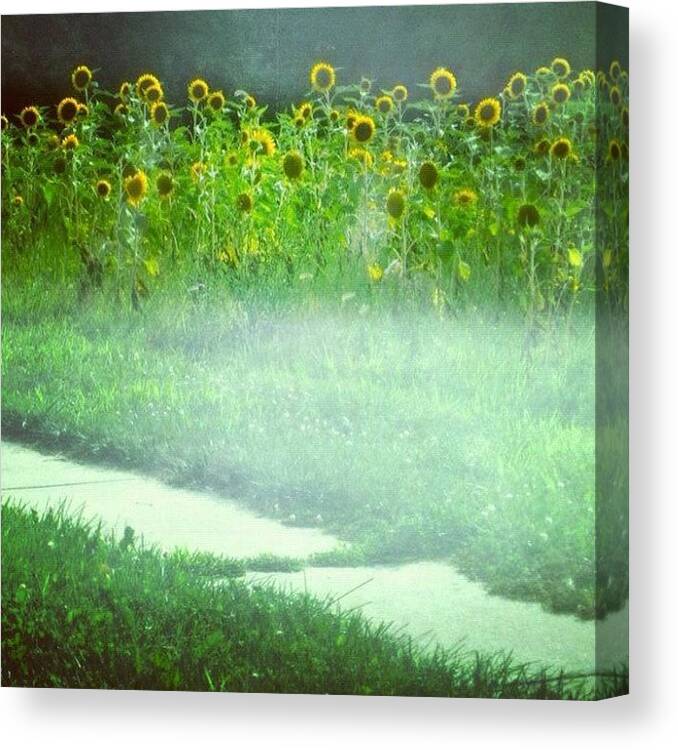Beautiful Canvas Print featuring the photograph Waking Dream by John Griffin