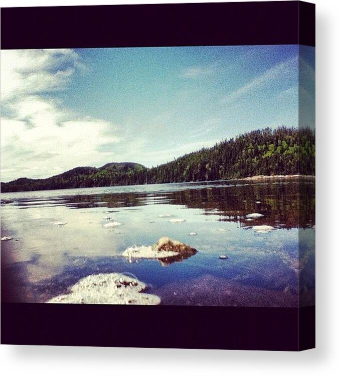 Beautiful Canvas Print featuring the photograph Water Level by Julia Norris