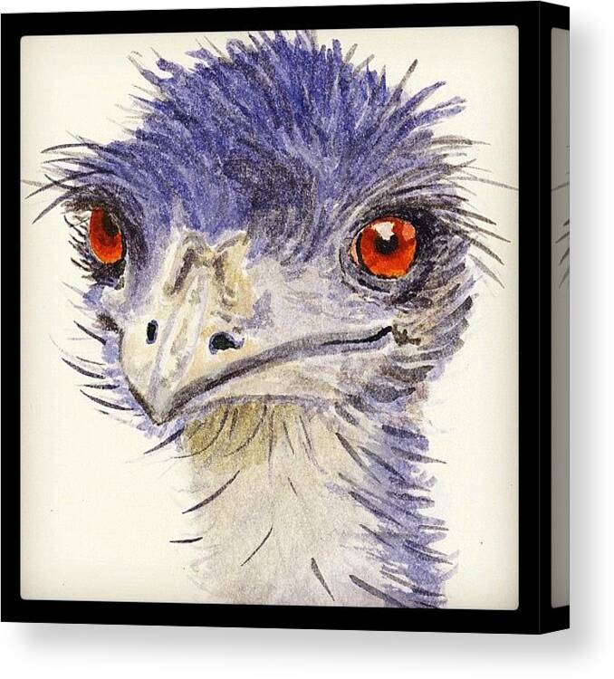 Sketch Canvas Print featuring the photograph Watercolour Sketch Of Emu by Ruca Cao