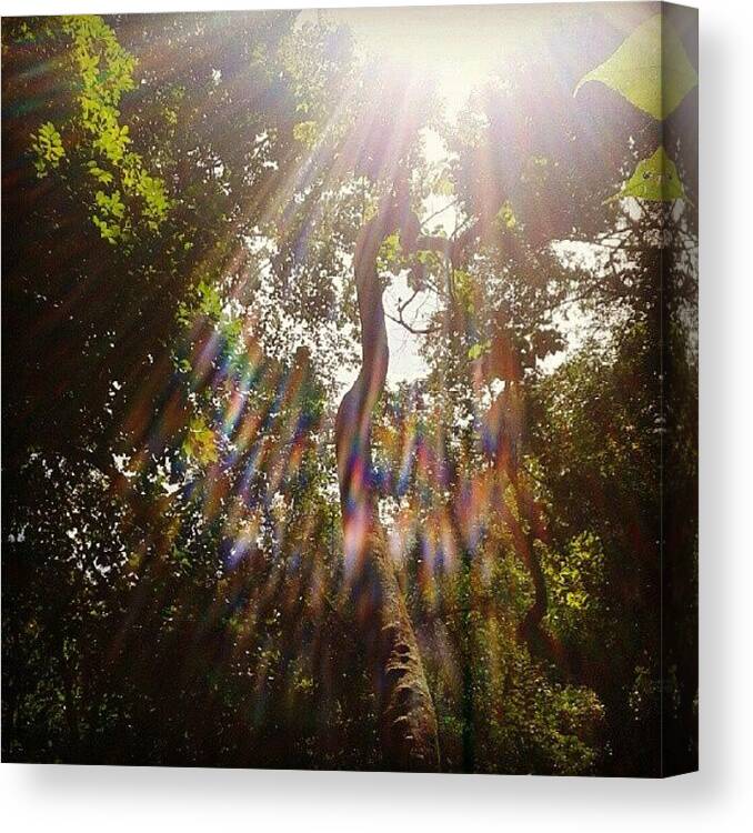 Igersfollow Canvas Print featuring the photograph Welcome To The #jungle by Gustavo Nieto