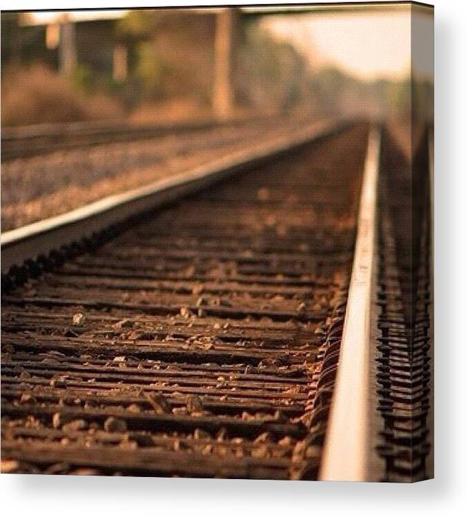 Cute Canvas Print featuring the photograph What Is Your Destination? | #instagram by Tony Macasaet