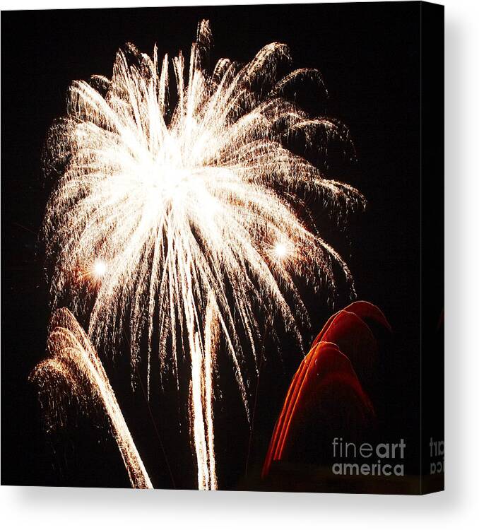 Fireworks Canvas Print featuring the photograph White flower by Agusti Pardo Rossello