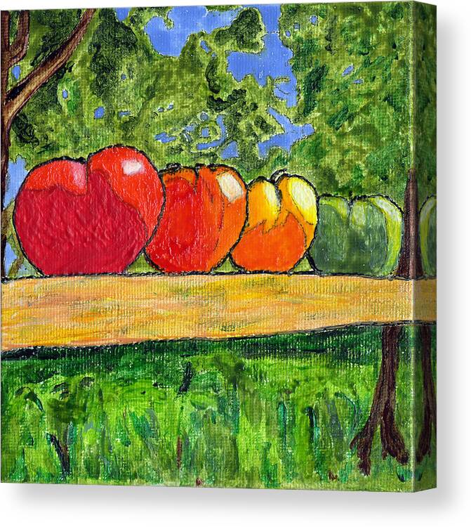 Tomatoes Canvas Print featuring the painting White Heath Tomatoes by Phil Strang