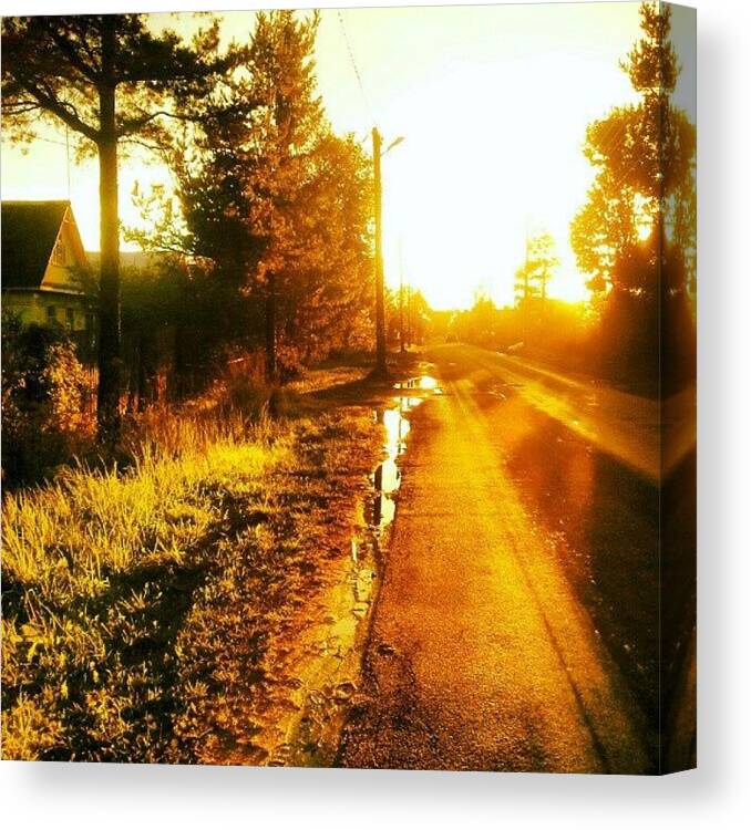Summer Canvas Print featuring the photograph #whpshiftingseasons #russia #sun #dacia by Leopoldo Ulivieri