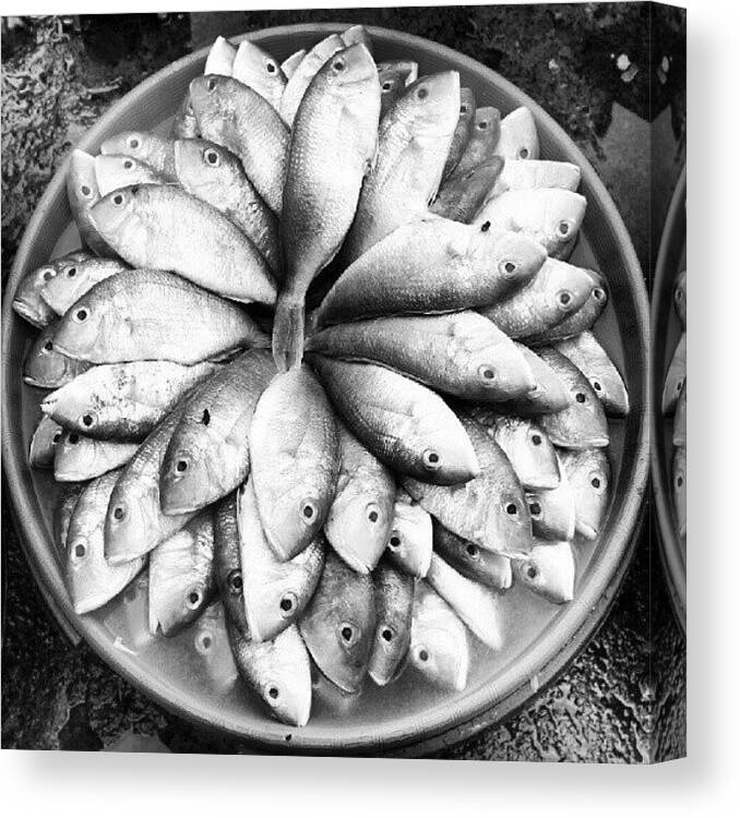 Instagram_id Canvas Print featuring the photograph Why Do Y'all Starring At Me? #fish #bw by Renaldy Mario Ranti