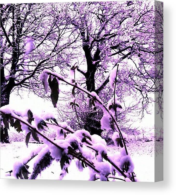  Canvas Print featuring the photograph Winter At Home by Carolyn Ferris