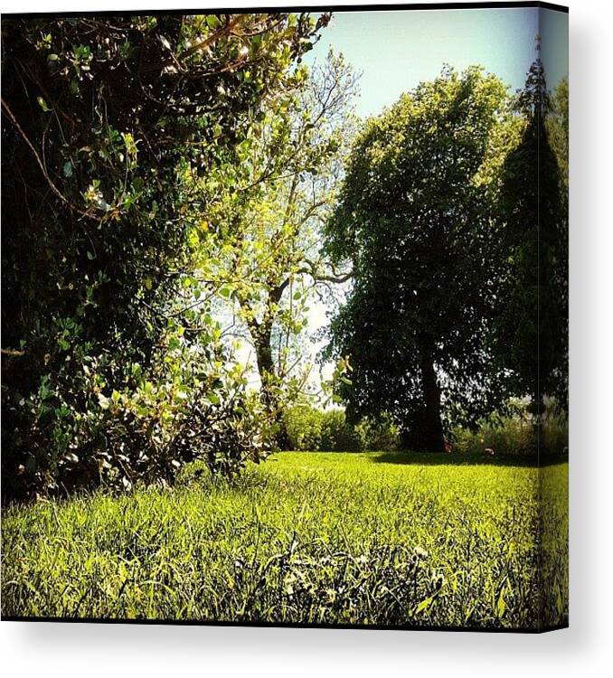 Instagram Canvas Print featuring the photograph Yesterday's View In The Park by Ady Griggs