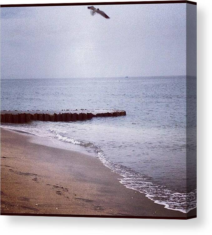 Nature Canvas Print featuring the photograph Your View Today by Beach Bum Chix