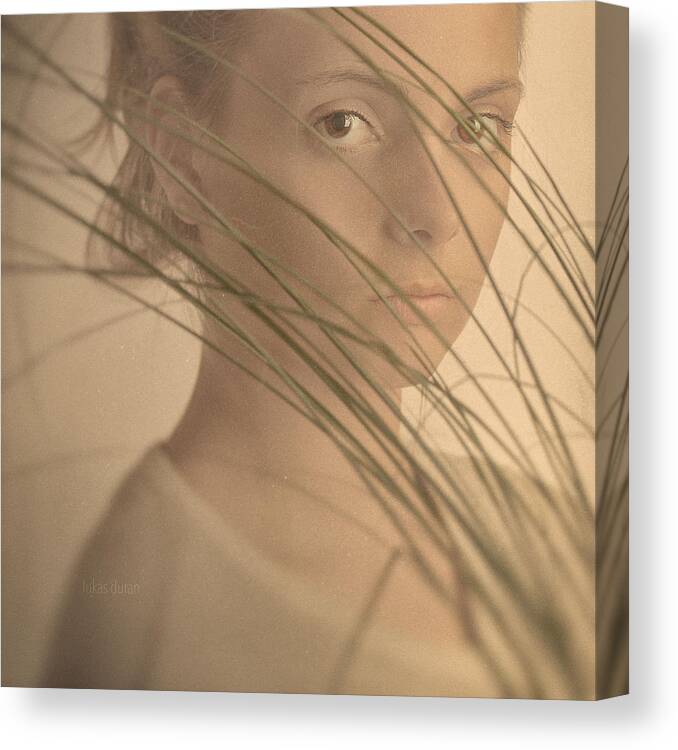 Photo Canvas Print featuring the photograph -flow- by Lukas Duran