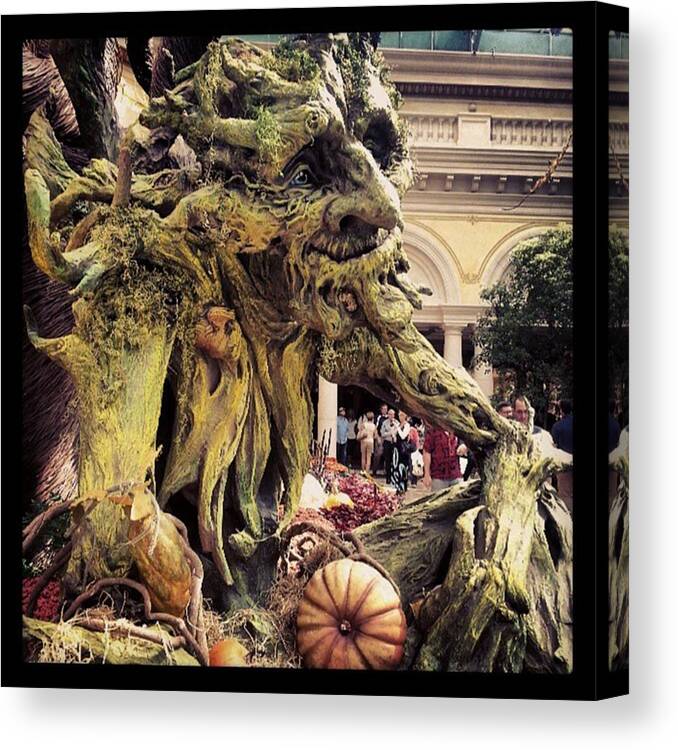 Bellagio Canvas Print featuring the photograph #TrollGarden by Raymie Jackman