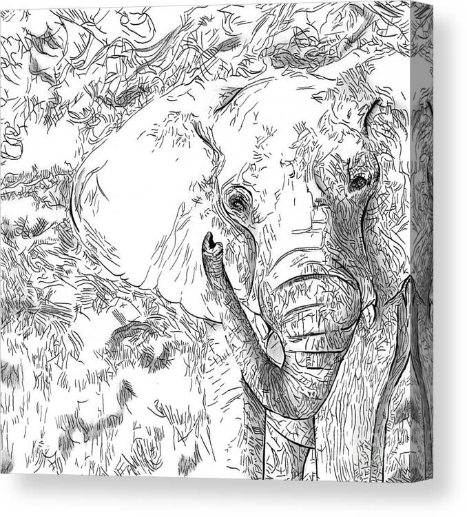  Canvas Print featuring the drawing 02 of 30 Elephant by Denise Deiloh