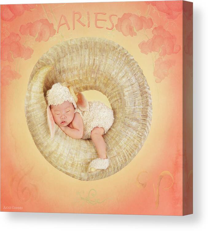 Zodiac Canvas Print featuring the photograph Aries by Anne Geddes