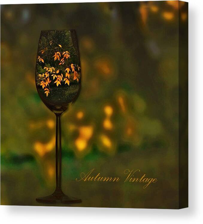 Wine Canvas Print featuring the photograph Autumn Vintage #1 by Phyllis Meinke