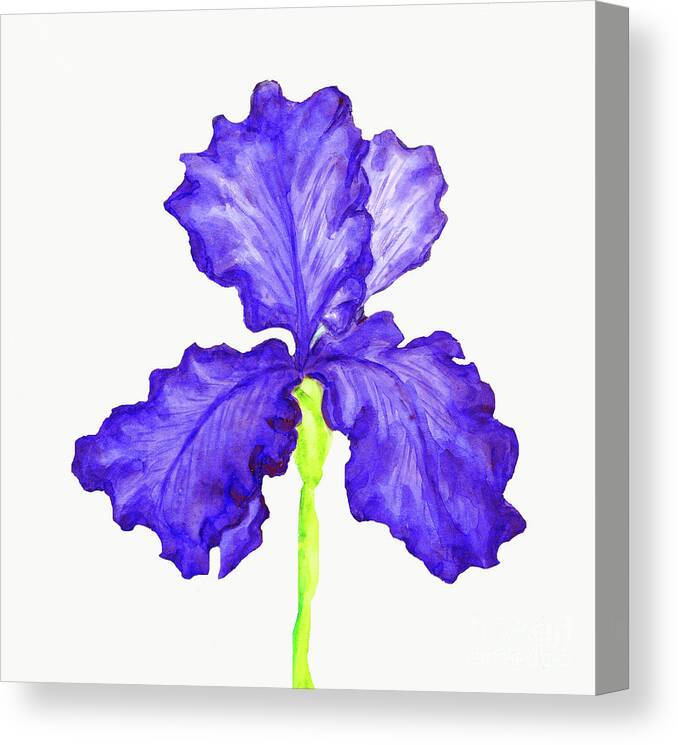 Art Canvas Print featuring the painting Blur iris, painting #1 by Irina Afonskaya