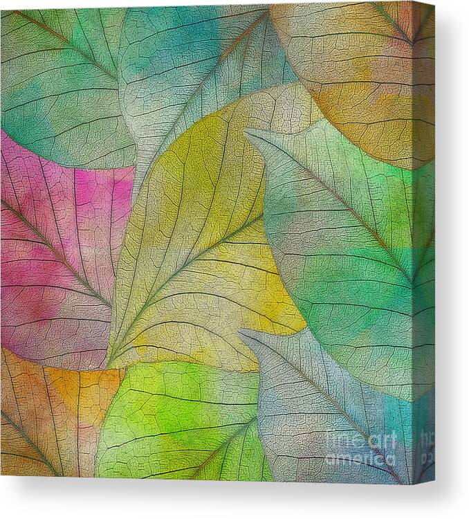 Abstract Canvas Print featuring the digital art Colorful Leaves #1 by Klara Acel