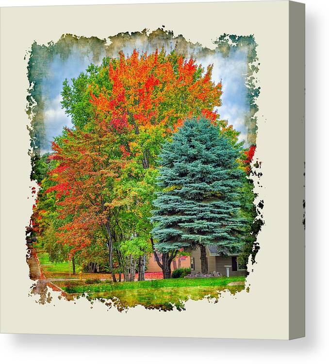 Community Canvas Print featuring the photograph Fall Colors by John M Bailey