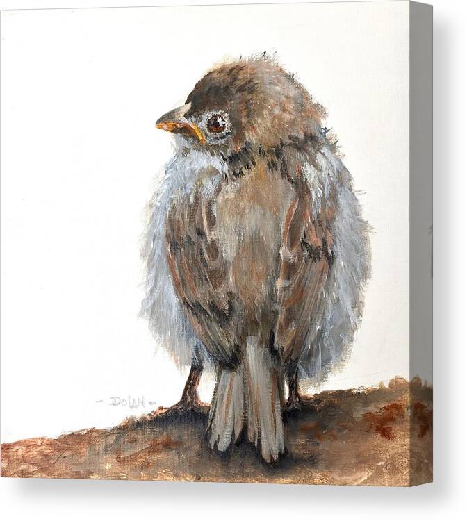 Young Sparrow Canvas Print featuring the painting Fledgling Sparrow #1 by Pat Dolan
