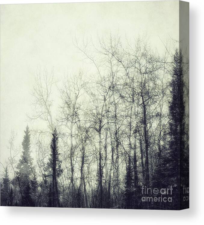 Double Exposure Canvas Print featuring the photograph Fragility #2 by Priska Wettstein