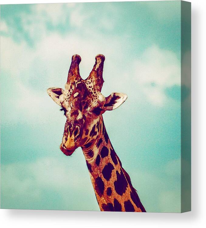 Animal Canvas Print featuring the painting Griffe #1 by Celestial Images