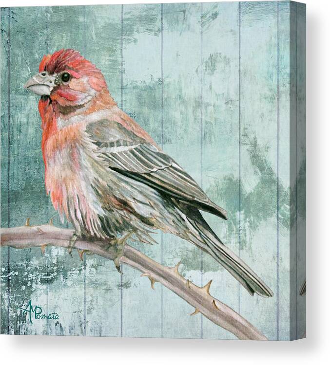 Finch Canvas Print featuring the painting House Finch by Angeles M Pomata