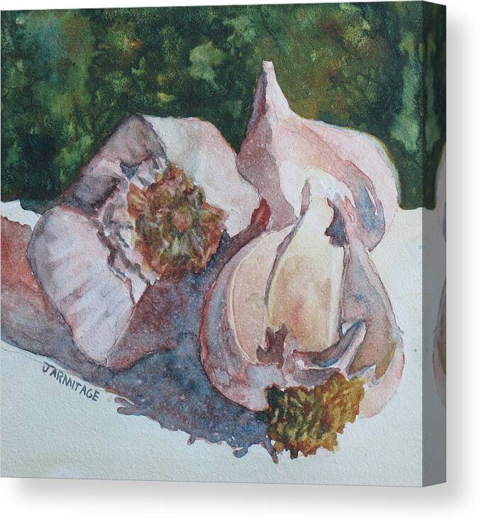Garlic Canvas Print featuring the painting Little Garlic II #1 by Jenny Armitage