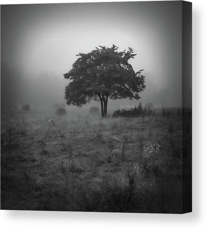 Landscapes Canvas Print featuring the photograph Morning Fog #1 by Bill Martin