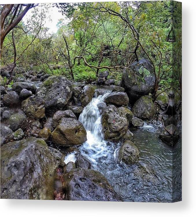 Instaloha Canvas Print featuring the photograph 1 Of The 29 Stream Crossings On The by Brian Governale