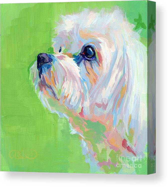 Maltese Canvas Print featuring the painting Parker by Kimberly Santini